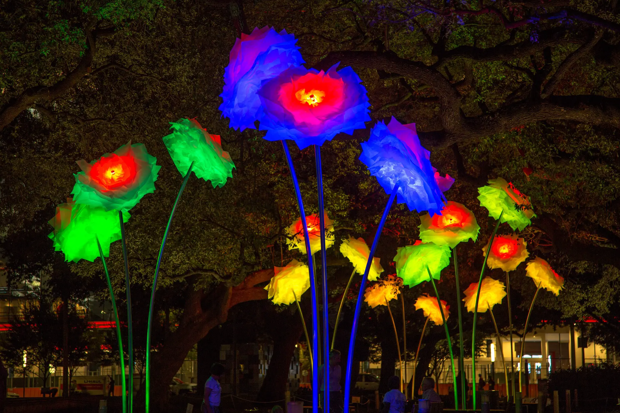BLOOM art installation by TILT — glowing flowers at night