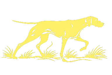 Houndstock hound illustration